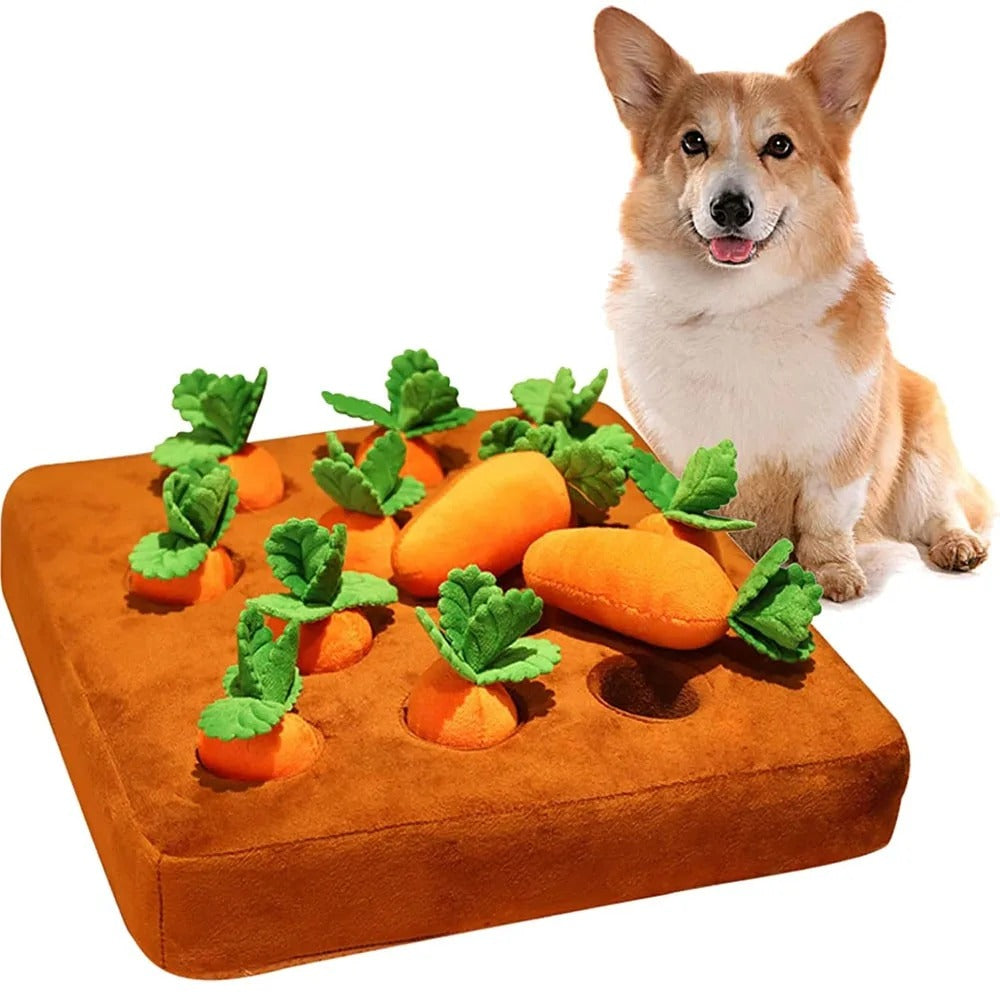 Pet Carrot Plush Chew Toy