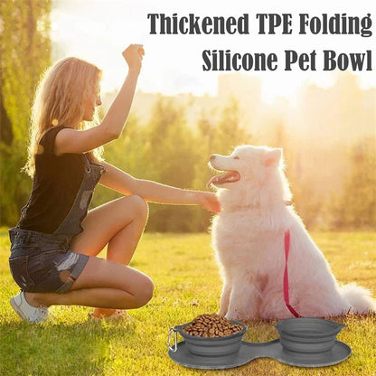 Foldable Double Pet Feeding Bowl